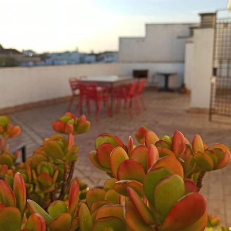 Atardeceres Surenos - Gran Terraza - Parking Jerez de la Frontera Extérieur photo